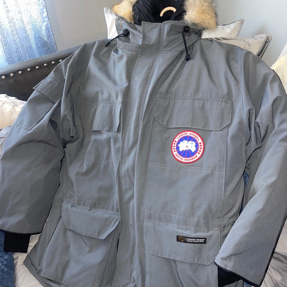 Canada goose
